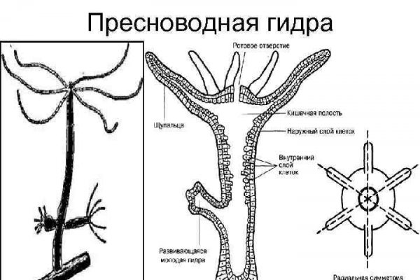 Кракен сайт официальный kraken clear com