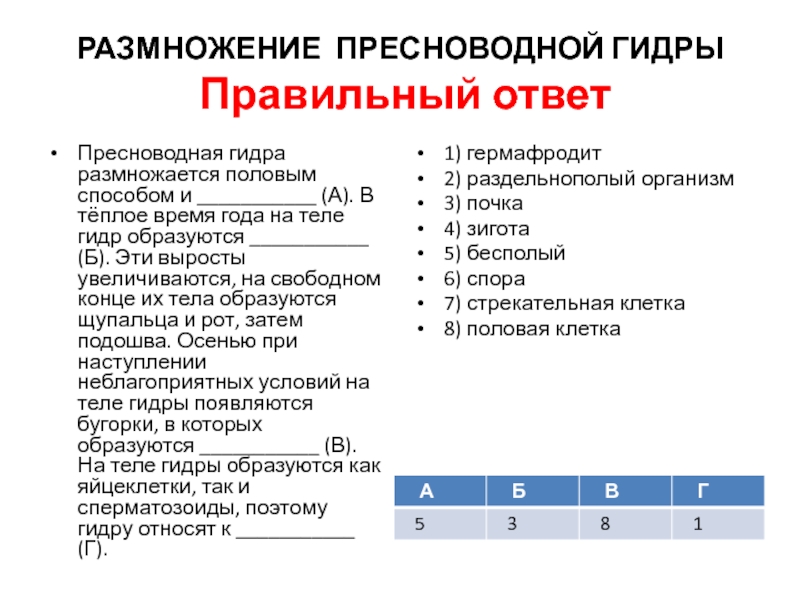 Kra4.cc